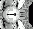 gameboy camera gif animation