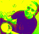 gameboy camera gif animation