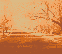 gameboy camera gif animation