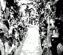 gameboy camera gif animation
