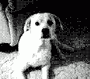 gameboy camera gif animation