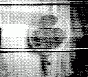 gameboy camera gif animation