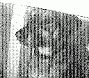 gameboy camera gif animation