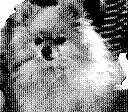 gameboy camera gif animation