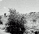 gameboy camera gif animation