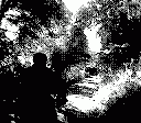 gameboy camera gif animation