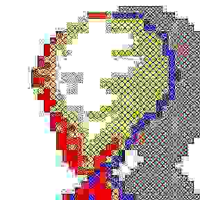CircleFace.jpg