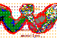 muscleas.png