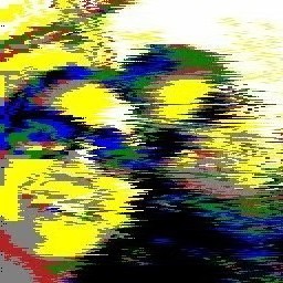 Untitled.jpg