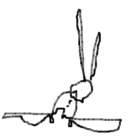 86.80.94.14.png
