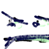 62.163.157.128.gif